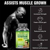 Nutrainix Testosterone Booster, 90 capsules Natural