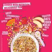 3 - ASAP Ultimate Breakfast Multigrain Muesli,  2 Piece(s)/Pack  COFFEELUV + FRUITZ 