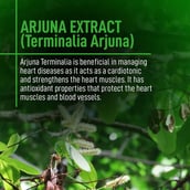 6 - MuscleMonk Arjuna Terminalia,  60 capsules 