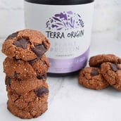 4 - Terra Origin Plant Protein, Chocolate 0.99 lb