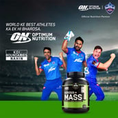 2 - ON (Optimum Nutrition) Serious Mass,  12 lb  Vanilla 