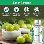 1 - Nirvasa Amla,  60 capsules 