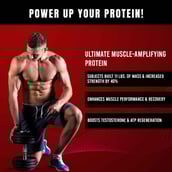 5 - MuscleTech Performance Series NitroTech Power,  4 lb  French Vanilla Swirl 