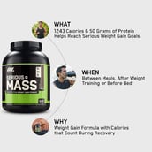 9 - ON (Optimum Nutrition) Serious Mass,  12 lb  Chocolate 