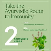 4 - Kapiva Tulsi Giloy Green Tea,  100 g  Natural 