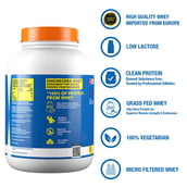 supplementinfo - Fast & Up Whey Essentials,  4.2 lb  Rich Chocolate 