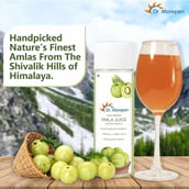 3 - Dr. Morepen Amla Juice, Unflavoured 500 ml