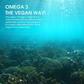 3 - Origins Nutra Vegan Omega 3 DHA & EPA Algal Oil 500mg,  30 softgels 