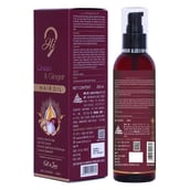 2 - Hi9 Onion & Ginger Hair Oil,  200 ml  Hair Fall & Dandruff Control 