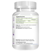 Natures Velvet Boswellia (500 mg),  60 capsules 