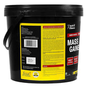 Healthvit Fitness Mass Gainer Xtra,  11 lb  Chocolate 