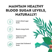 6 - Kapiva Karela Jamun Juice (Supports Healthy Blood Sugar),  Unflavoured (Pack of 2)  1 L 