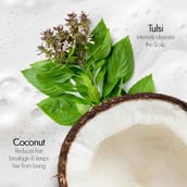 7 - Kapiva Hair Rituals Hairfall Control Tulsi Shampoo,  250 ml  Pancha Tulsi, Amla & 8 other Herbs 