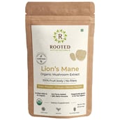 Rooted Active Naturals Lion's Mane Organic Mushroom Extract,  120 g 