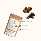 2 - Rooted Active Naturals Chaga Organic Mushroom Extract,  60 g 