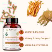 3 - Rooted Active Naturals Cordyceps Militaris Organic Mushroom Extract,  60 veggie capsule(s) 