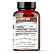 3 - Rooted Active Naturals Chaga Organic Mushroom Extract,  60 veggie capsule(s) 