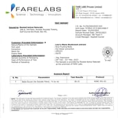 8 - Rooted Active Naturals Lion's Mane Organic Mushroom Extract,  60 g 