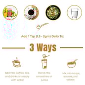 5 - Rooted Active Naturals Lion's Mane Organic Mushroom Extract,  60 g 