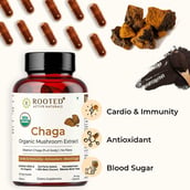 4 - Rooted Active Naturals Chaga Organic Mushroom Extract, 90 veggie capsule(s)
