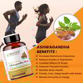 2 - Rooted Active Naturals Ashwagandha Root with with Reishi Mushroom Extract,  60 veggie capsule(s) 