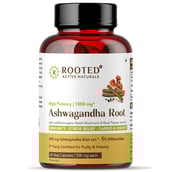 1 - Rooted Active Naturals Ashwagandha Root with with Reishi Mushroom Extract,  60 veggie capsule(s) 