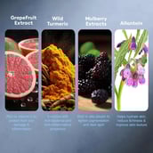 5 - VLCC Snigdha Face Cream, 200 g Lightens Skin & Reduces Pigmentation