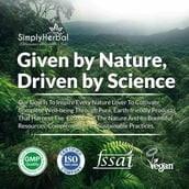 6 - Simply Herbal Japanese Matcha Green Tea Powder,  55 g  Unflavoured 