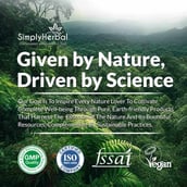 7 - Simply Herbal Probiotics,  60 capsules  Unflavoured (Pack of 3) 