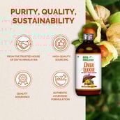 3 - Divya Himalayan Super Liver Elixir, 450 ml
