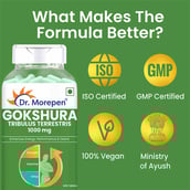3 - Dr. Morepen Gokshura (Pack of 2), 60 tablet(s)