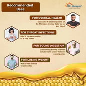 5 - Dr. Morepen 100% Pure Organic Honey,  250 g  Raw & Unfiltered (Pack of 3) 