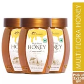 5 - Dr. Morepen Multi Flora Honey,  250 g  Pure & Natural (Pack of 3) 