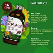 3 - Simply Herbal Liver Elixir (Pack of 2),  450 ml 