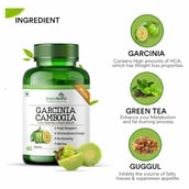 3 - Simply Herbal Garcinia Cambogia (Pack of 3),  60 capsules 