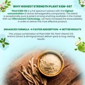 3 - Naturyz Plant KSM-66 with Ashwagandha(Apple Green Flavour),  15 tablet(s) 