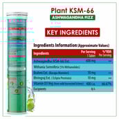 2 - Naturyz Plant KSM-66 with Ashwagandha(Apple Green Flavour),  20 tablet(s) 