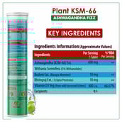 2 - Naturyz Plant KSM-66 with Ashwagandha(Apple Green Flavour),  15 tablet(s) 