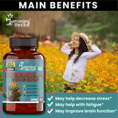 4 - Humming Herbs Rhodiola Ginseng,  90 veggie capsule(s) 