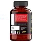 2 - Humming Herbs Ginkgo Biloba Ginseng,  90 capsules 