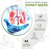 4 - Himalayan Organics Plant Based Kidney Detox, 60 tablet(s)