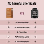 8 - The Whole Truth Whey Protein, 6 sachets/pack Cold Coffee