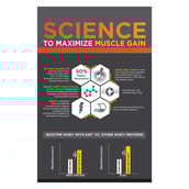 8 - MuscleBlaze Biozyme Whey PR,  2.2 lb  Chocolate Fudge