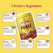 5 - Origin Nutrition Go-Go Fuel for Kids 8-12 yrs, 0.88 lb Champion's Chocolate