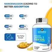 4 - Naturyz Burpfree Nano Omega 3 Fish Oil with Vitamin D3,  60 softgels 