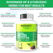 4 - Naturyz Veda Natural T-MAX Booster, 90 tablet(s)