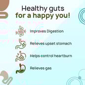 3 - The Co Being GOT GUTZY Dynamic Digestive Blend, 60 capsules