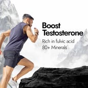 7 - Kapiva Him Foods Shilajit Fizz,  20 tablet(s) 