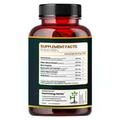 3 - Humming Herbs Echinacea 1200mg,  60 capsules 