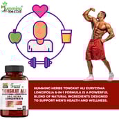 6 - Humming Herbs Tongkat Ali Eurycoma Longifolia,  180 capsules 